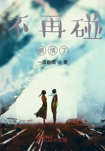 不再碰感情了