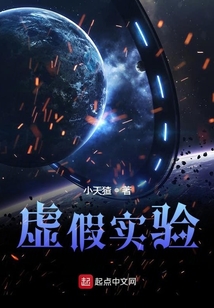 虚假实验
