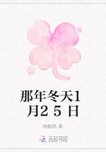 那年冬天1月25日