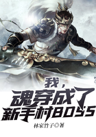 我，魂穿成了新手村BOSS在線閱讀