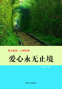 爱心永无止境（散文精品·言情经典）