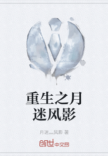 重生之月迷風影