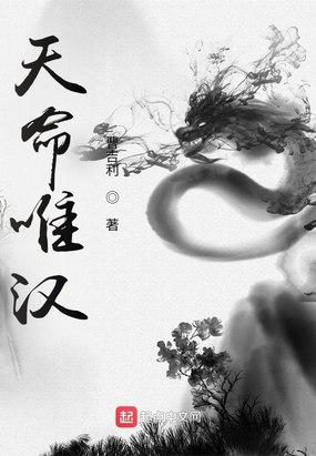 天命唯汉在线阅读