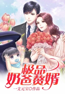 極品奶爸贅婿