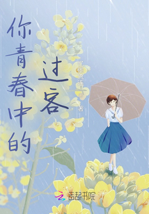你青春中的過客