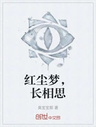 红尘梦，长相思在线阅读