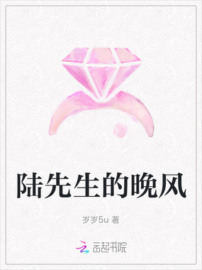 陆先生的晚风在线阅读