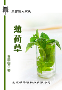 薄荷草