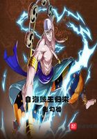 自海贼王归来