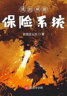 我的神奇保險系統