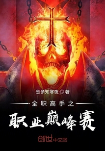 全職高手之職業(yè)巔峰賽