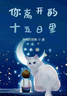 你離開的十五日里