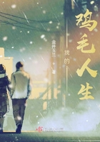我的鸡毛人生