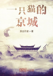 一只貓的京城