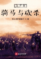 这不是骑马与砍杀,是新世界!在线阅读