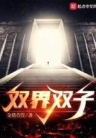 双界双子在线阅读