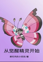 从觉醒精灵开始在线阅读