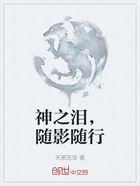 神之泪,随影随行在线阅读