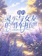 我的灵车与女友的婚车相遇在线阅读