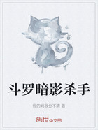斗罗暗影杀手在线阅读
