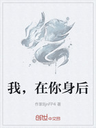 我,在你身后在线阅读