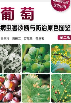 葡萄病虫害诊断与防治原色图鉴 封面