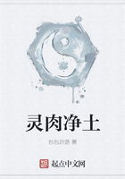 靈肉凈土在線閱讀