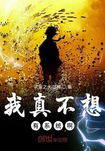 我真不想有系統啊