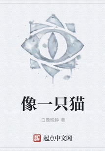 像一只貓