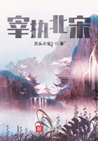 宰執北宋在線閱讀