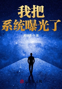 我把系統曝光了