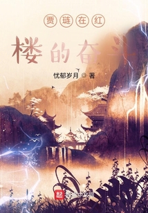 賈璉在紅樓的奮斗