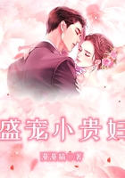 盛寵小貴婦在線閱讀
