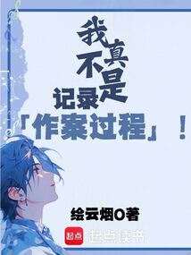 我真不是記錄作案過程!