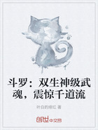 斗罗：双生神级武魂，震惊千道流在线阅读