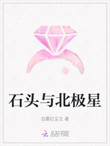石頭與北極星