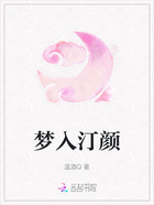 梦入汀颜在线阅读