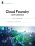 Cloud Foundry：从数字化战略到实现