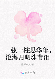 一弦一柱思華年，滄海月明珠有淚