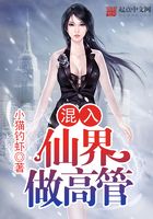 混入仙界做高管在線閱讀