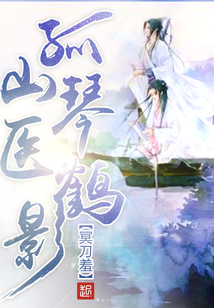 孤山琴醫(yī)鶴影