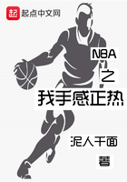 NBA之我手感正热在线阅读