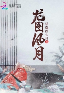 龍圖風(fēng)月