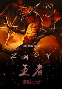 zxcv王者