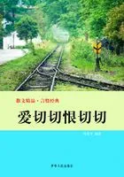 爱切切恨切切(散文精品·言情经典)在线阅读