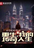 重生:我的传奇人生在线阅读