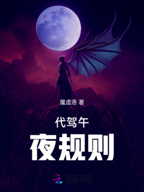 代驾午夜规则在线阅读