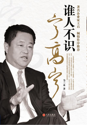 谁人不识宁高宁在线阅读