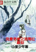 风雪奇缘之泪雨红颜劫