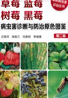 草莓蓝莓树莓黑莓病虫害诊断与防治原色图鉴